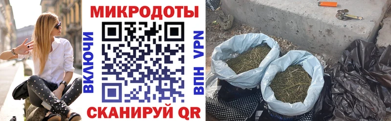 Купить  Темрюк  Псилоцибиновые грибы GOLDEN TEACHER 